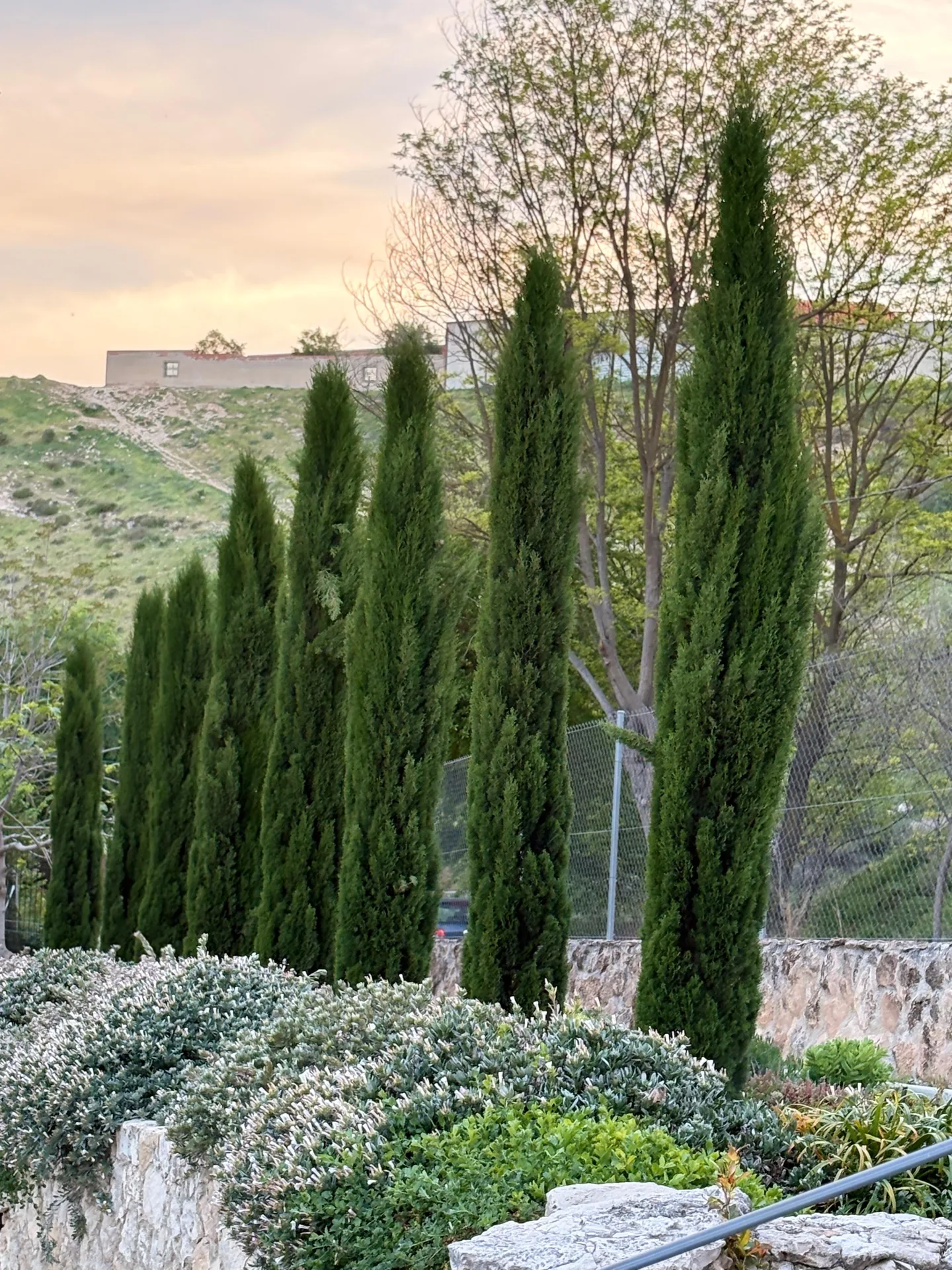 Valle Mayor, Dosbarrios