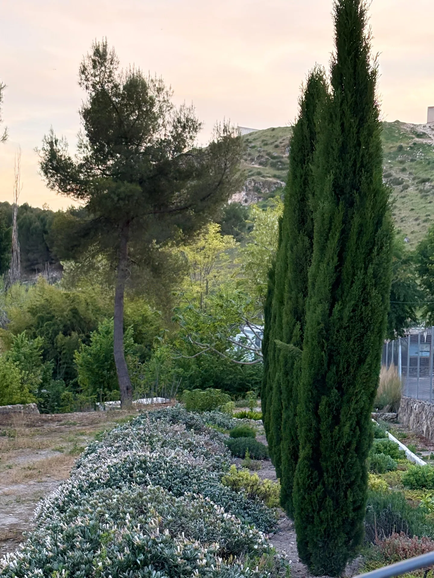 Valle Mayor